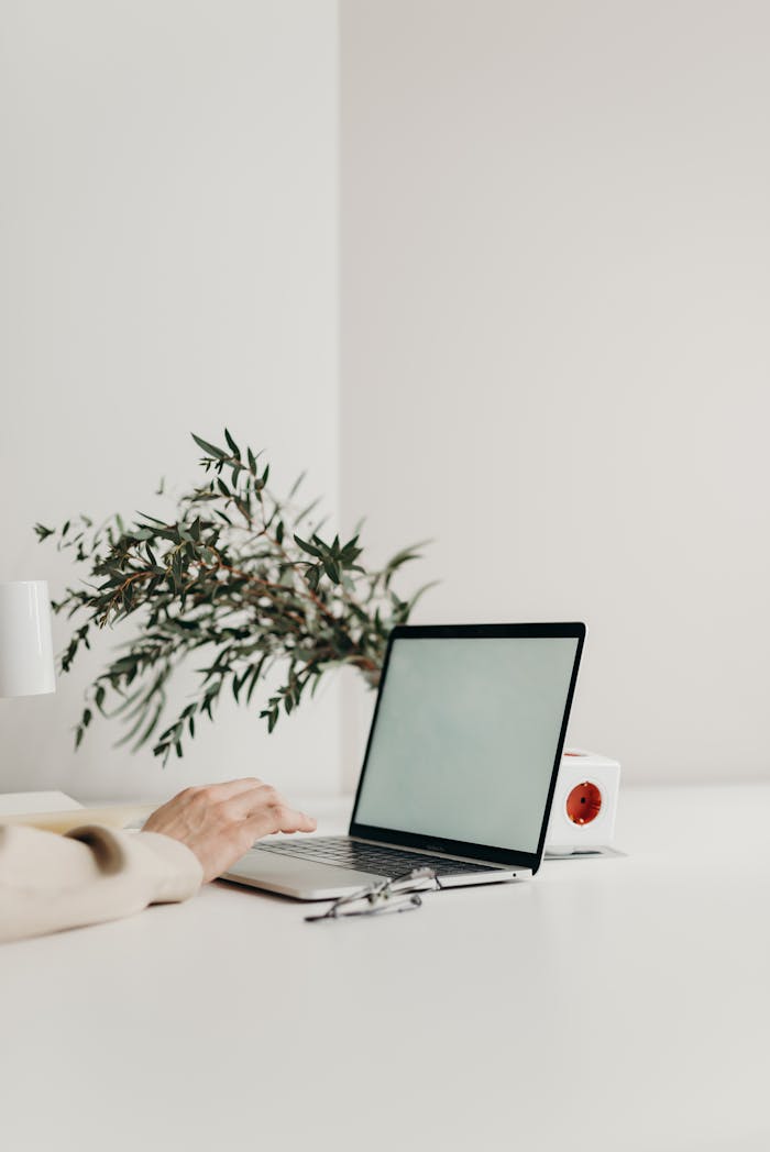 A sleek workspace featuring a laptop, green plant, and modern decor on a white desk.
